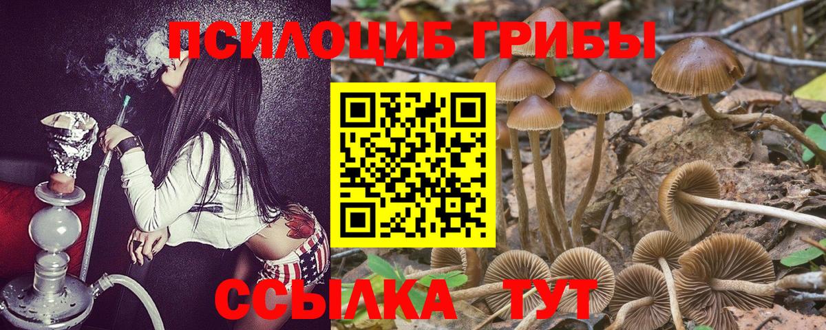 Галлюциногенные грибы мицелий Чусовой