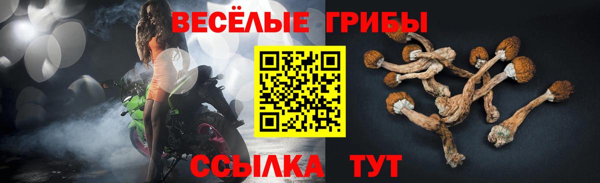 Чусовой  Псилоцибиновые грибы MAGIC MUSHROOMS  Вход с VPN 